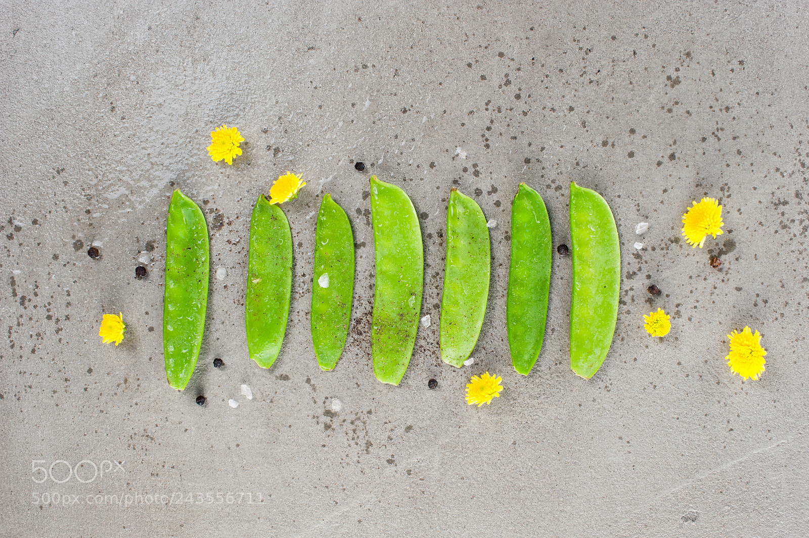 Nikon D700 sample photo. Sweet peas pods and photography