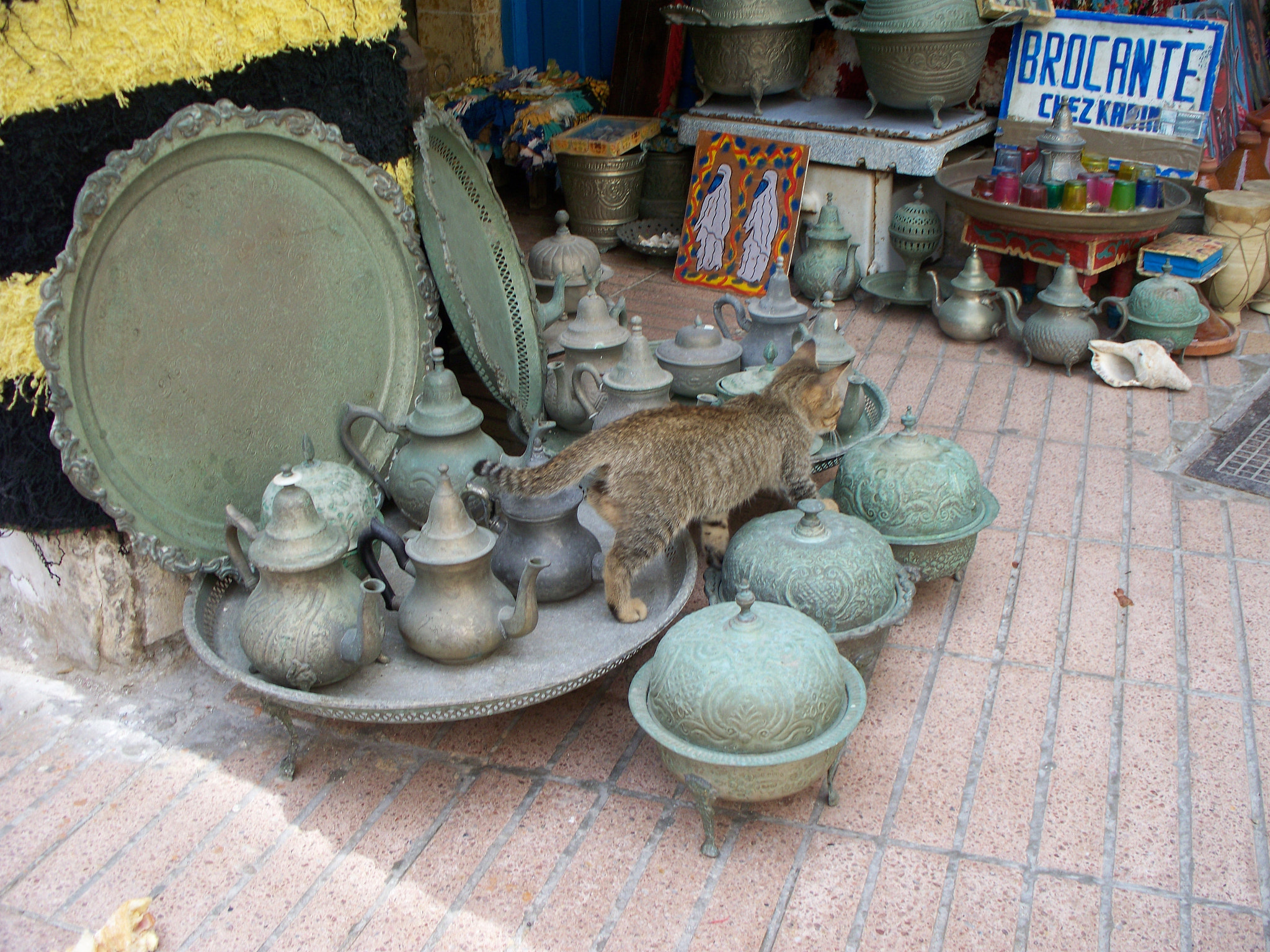 Kodak Z1275 ZOOM DIGITAL CAMERA sample photo. Moroccan cat photography