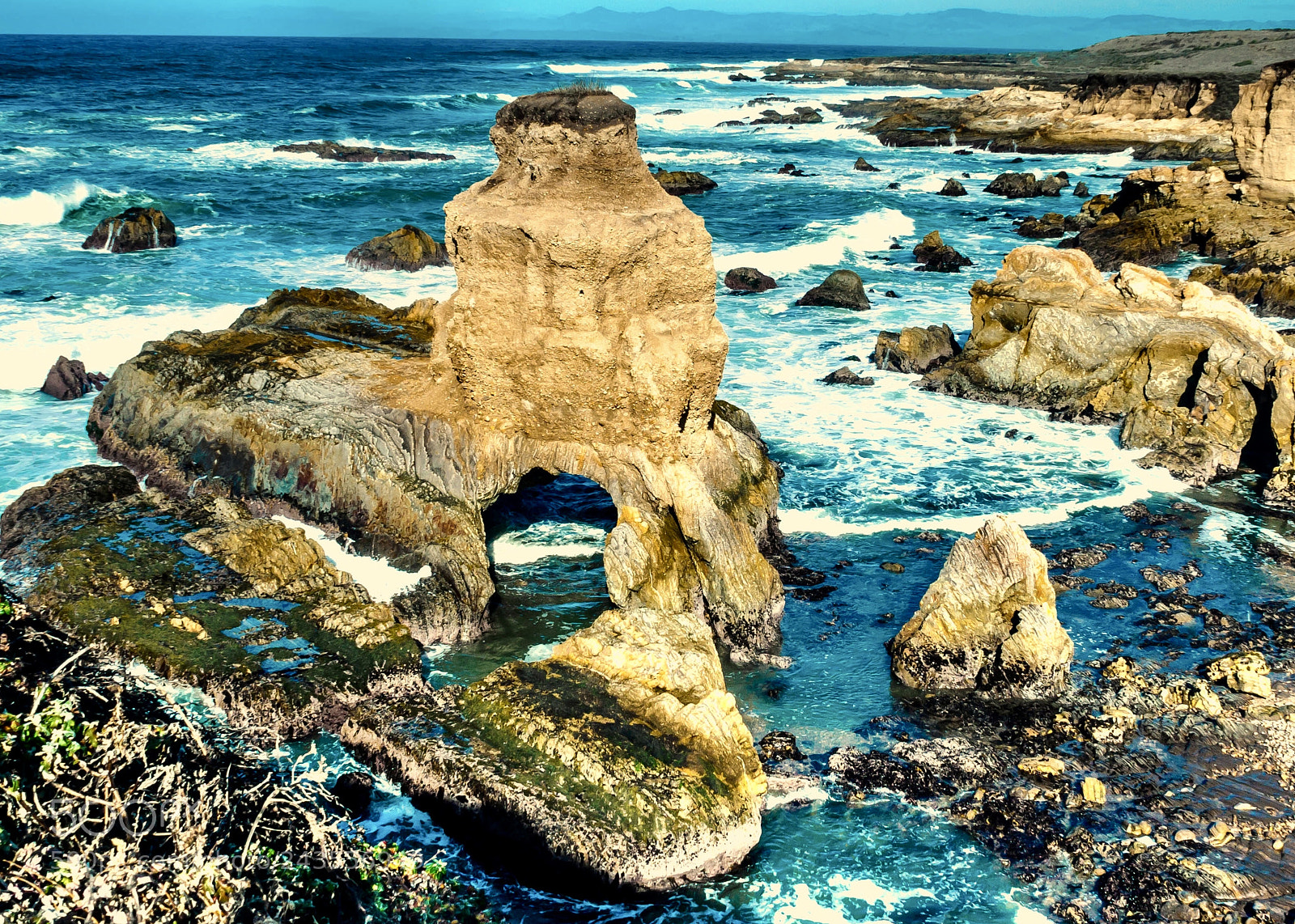 Olympus OM-D E-M5 II sample photo. Montana de oro photography