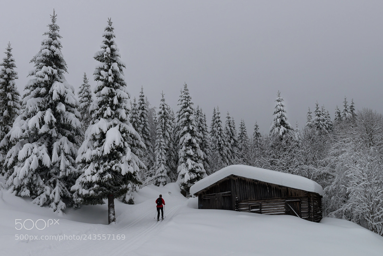 Nikon D800 sample photo. Winter mood iii photography