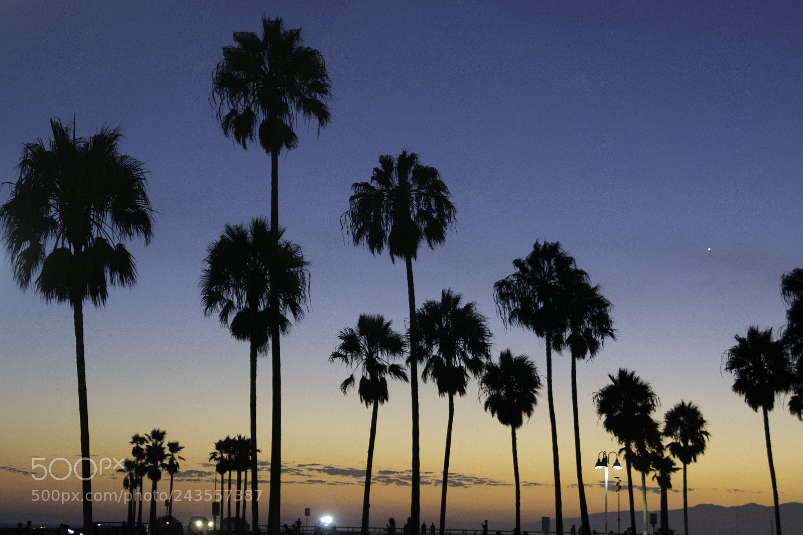 Nikon D3100 sample photo. Sunset venice beach, la photography
