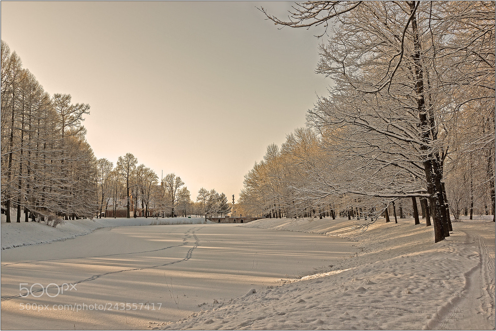 Canon EOS 550D (EOS Rebel T2i / EOS Kiss X4) sample photo. Snow mood photography