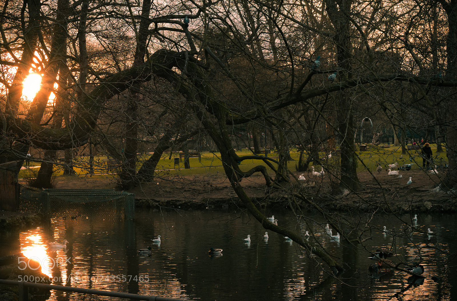 Nikon D7200 sample photo. () photography