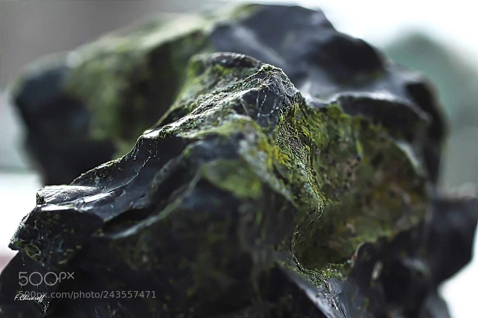 Canon EOS 100D (EOS Rebel SL1 / EOS Kiss X7) sample photo. The wild way photography