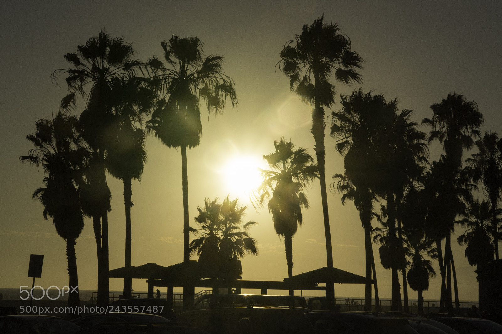 Nikon D3100 sample photo. Sunset venice beach, la photography