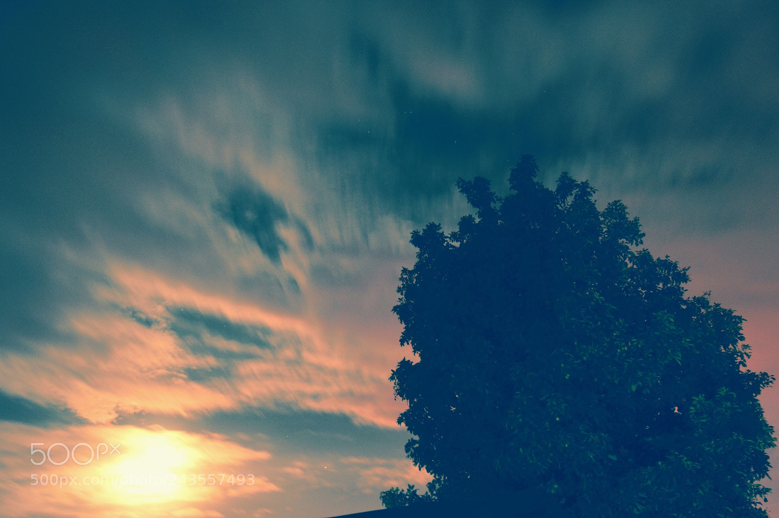 Nikon D3200 sample photo. Moon light in the photography