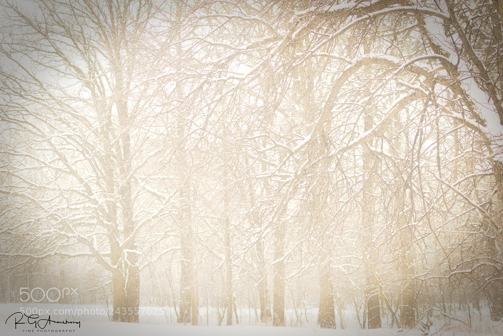 Pentax K-3 II sample photo. January squall photography