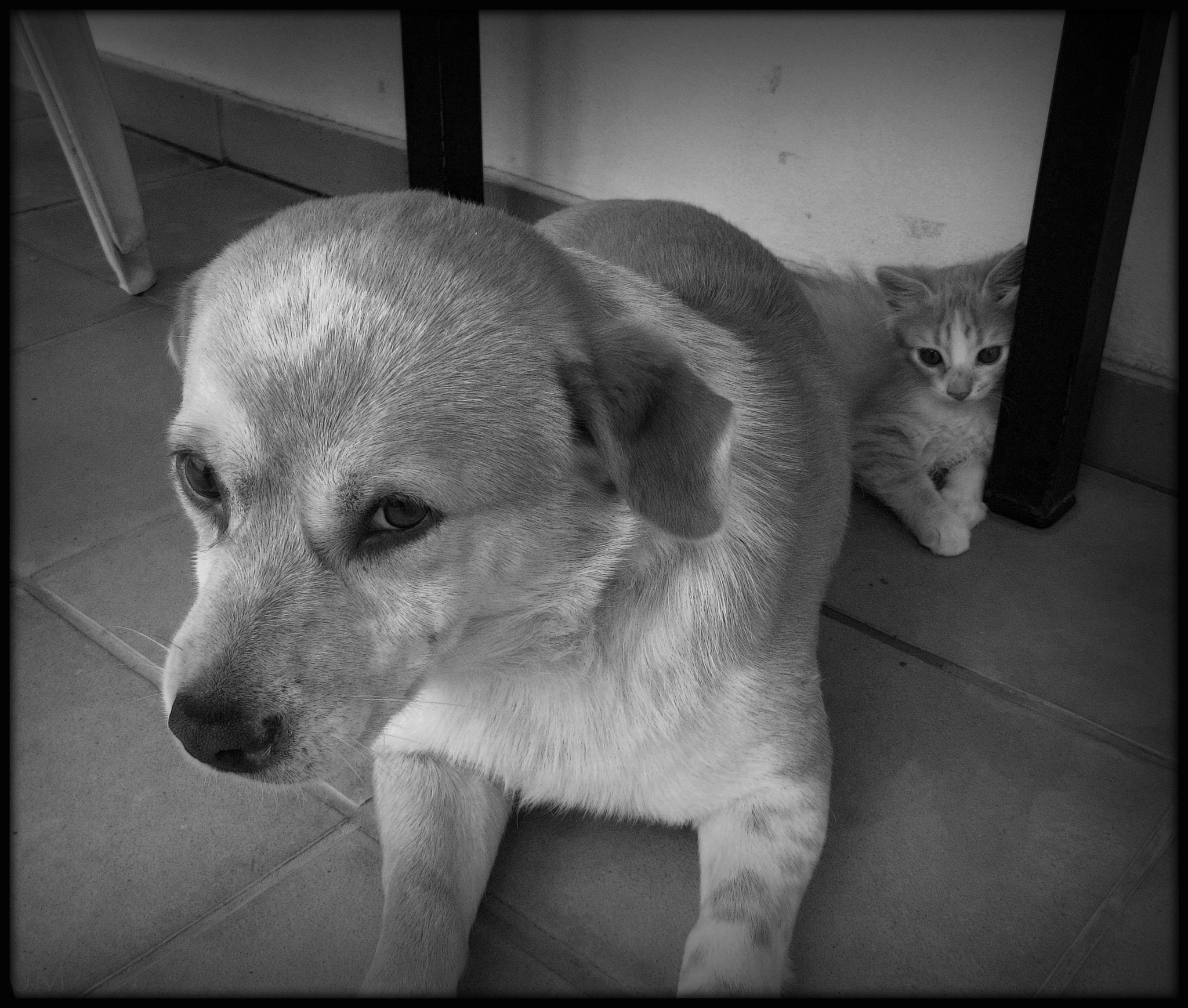 Canon POWERSHOT A3350 IS sample photo. Little creatures photography