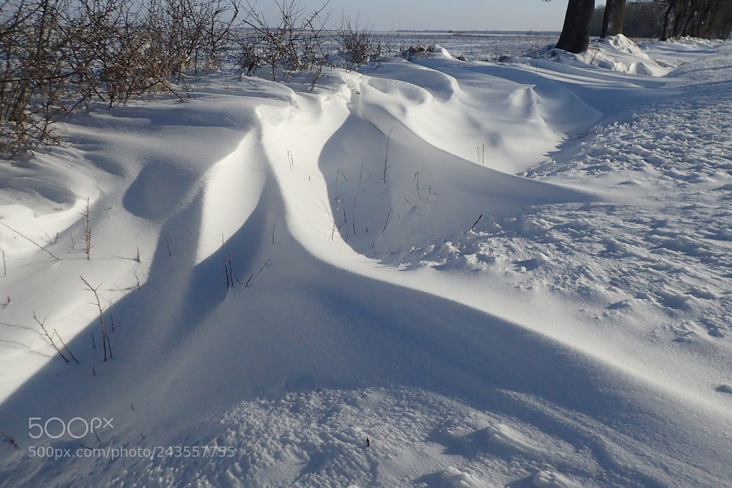 Olympus TG-4 sample photo. Snowdrift photography