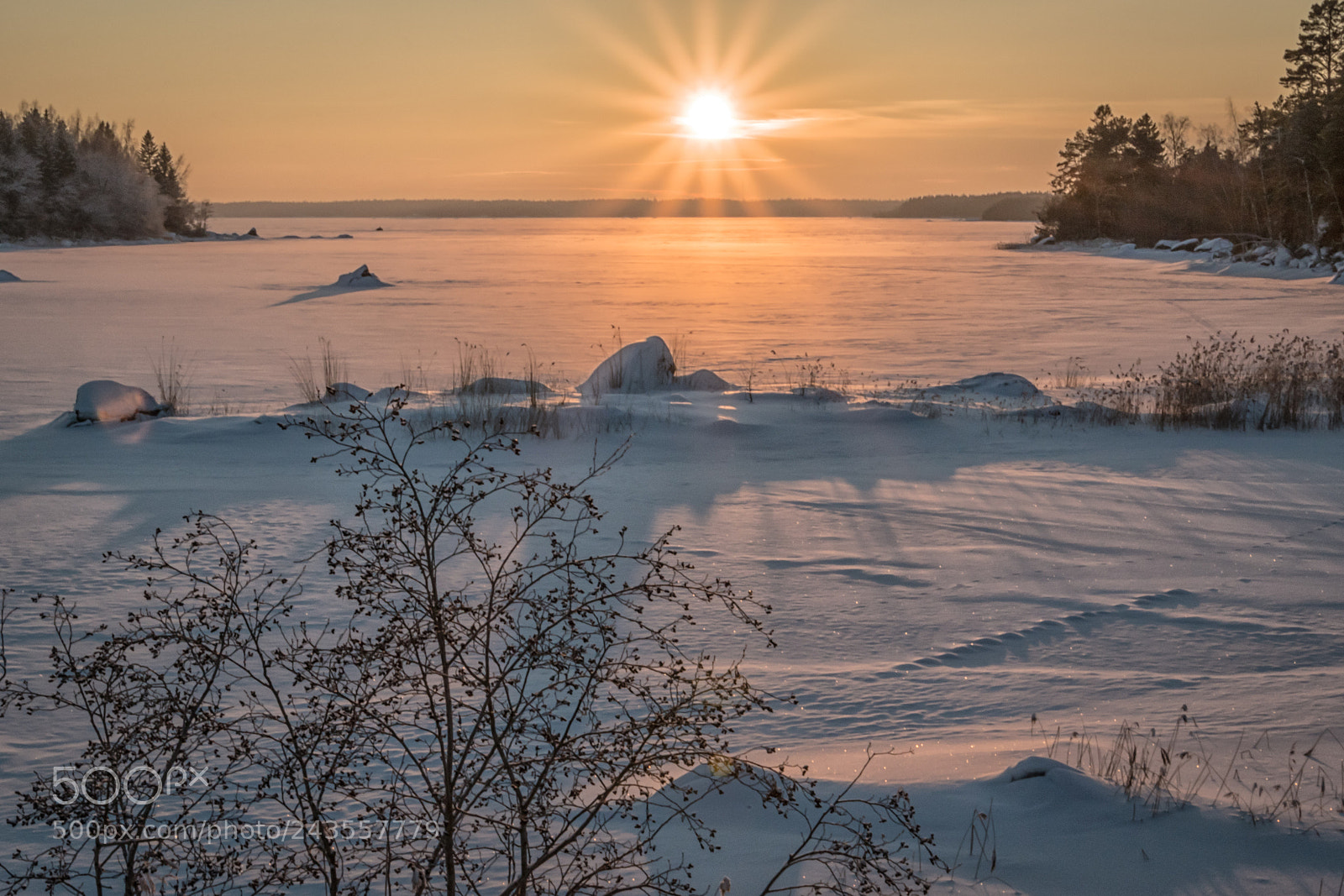 Nikon D5500 sample photo. Sunshine photography