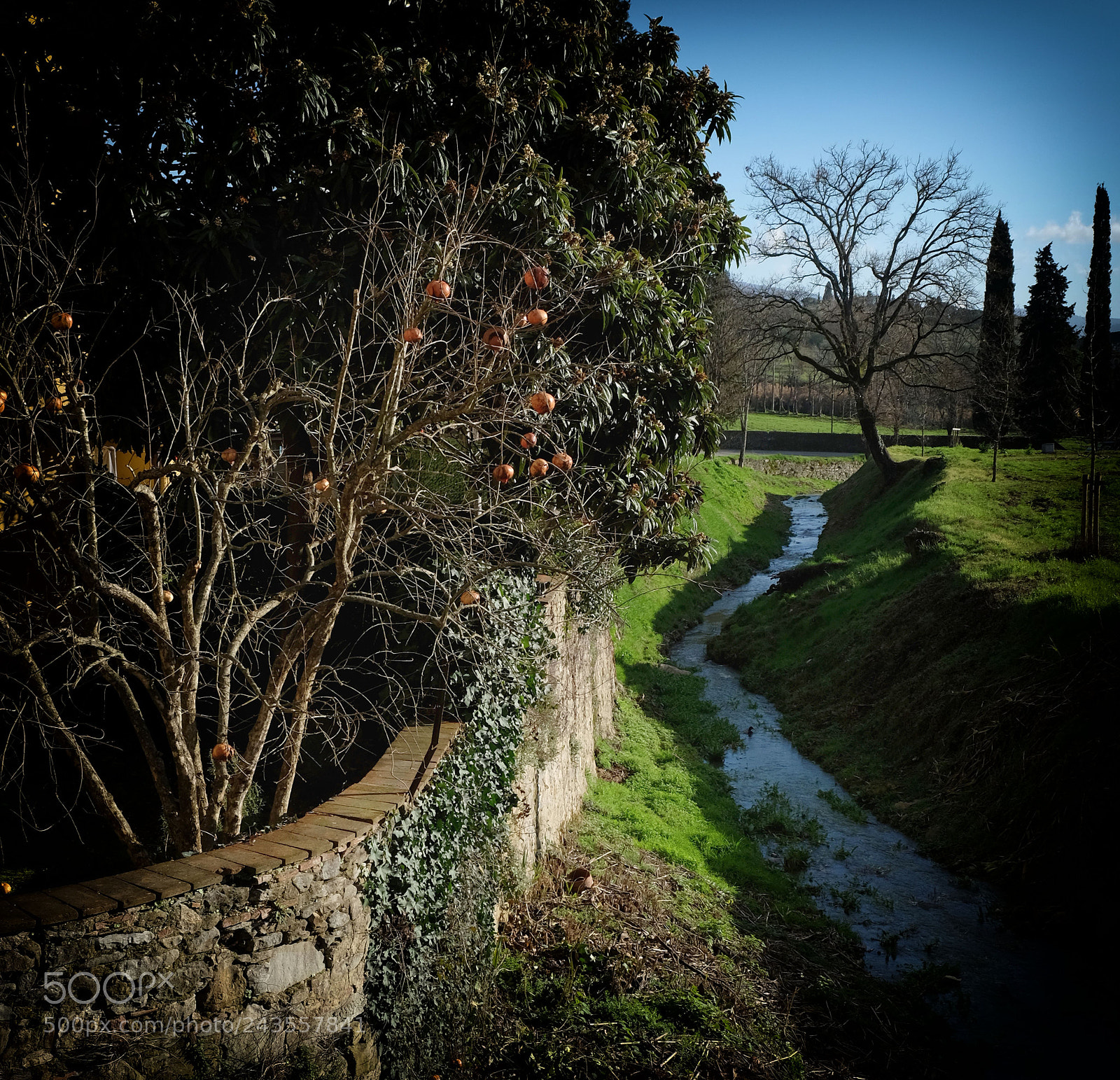 Fujifilm X-T10 sample photo. Winter is gone photography