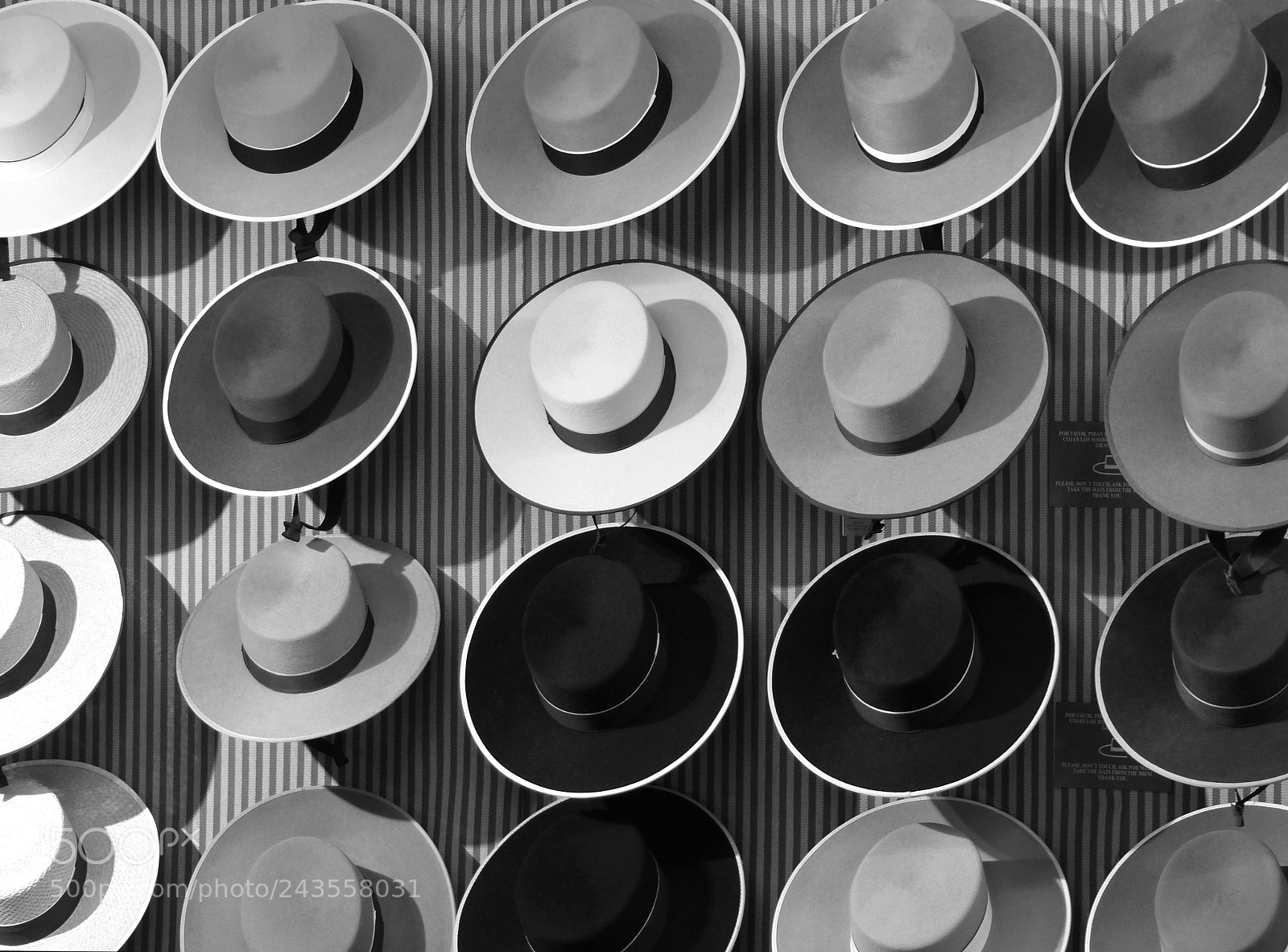 Panasonic Lumix DMC-FZ200 sample photo. Sombreroooo photography