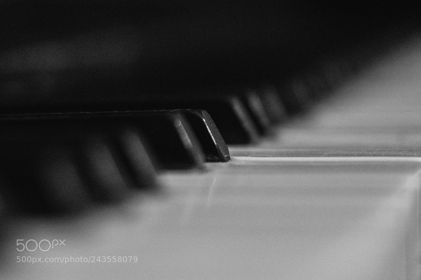 Nikon D3200 sample photo. Music is only as photography