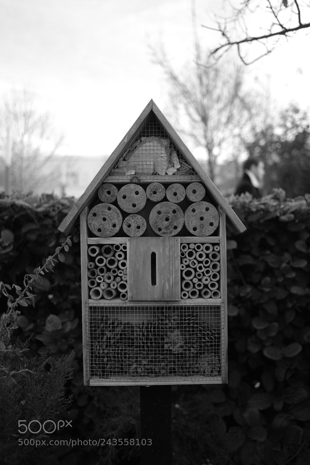 Fujifilm X-T20 sample photo. Bugs hotel photography