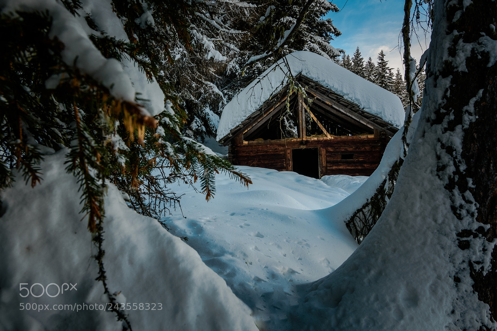 Nikon D7200 sample photo. What a winter! photography