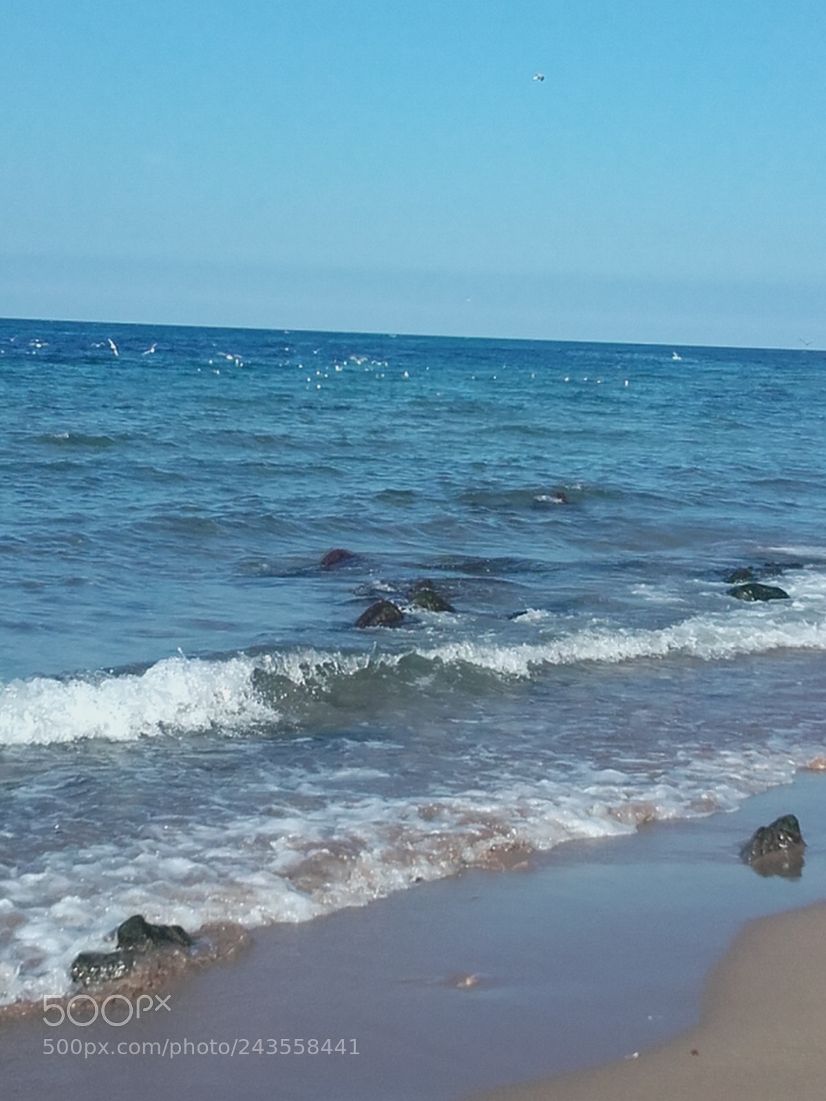 Samsung Galaxy Core Prime sample photo. Untitled photography