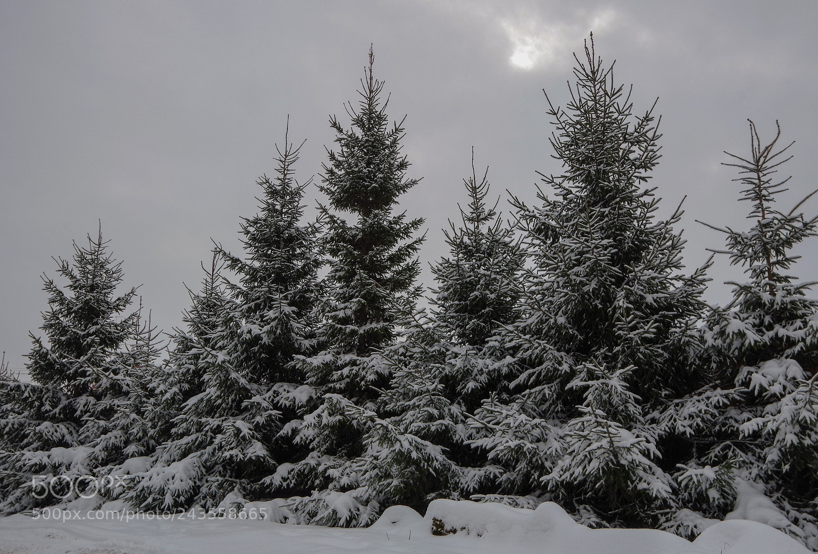 Pentax K-30 sample photo. Once in a cloudy photography