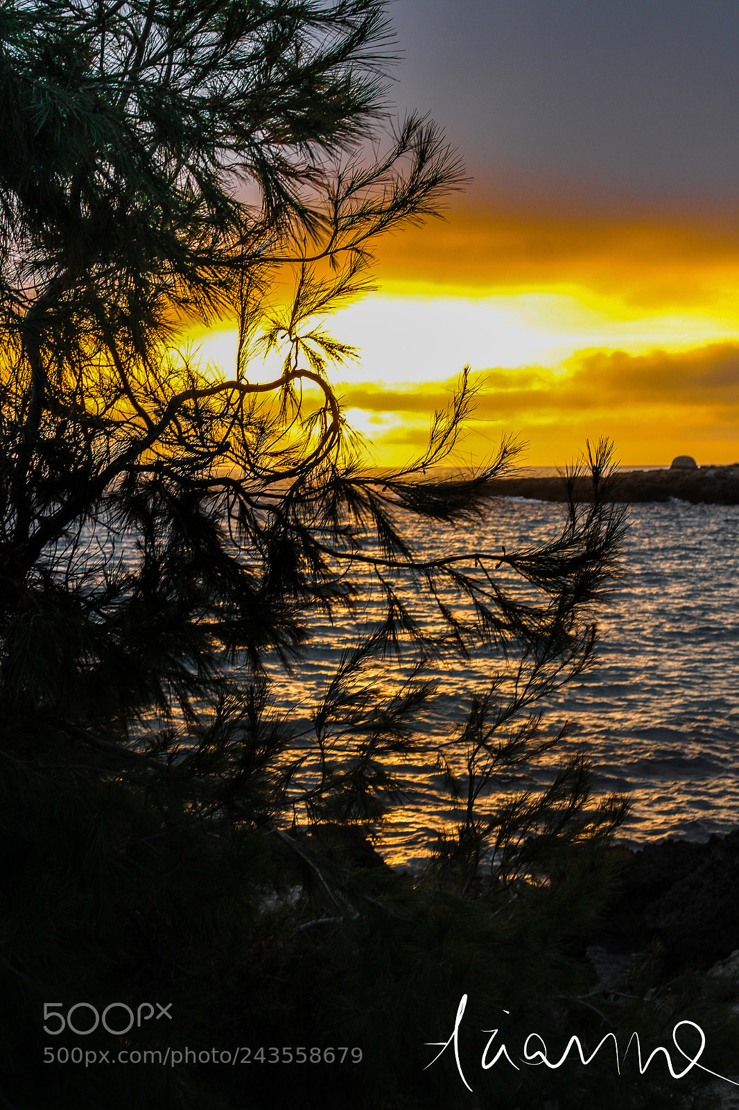 Canon EOS 1200D (EOS Rebel T5 / EOS Kiss X70 / EOS Hi) sample photo. Icy water fiery sky photography