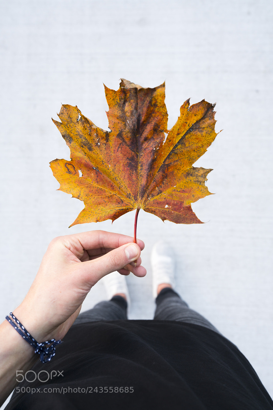Sony a7R II sample photo. Fall into my hands photography