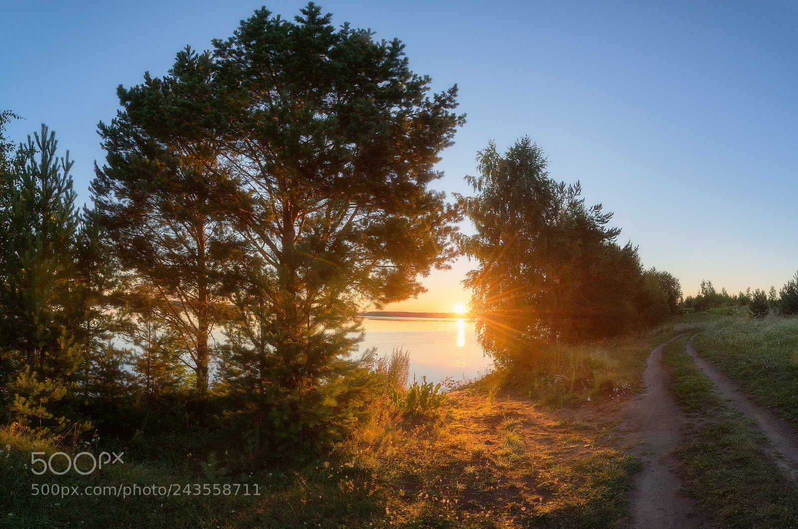 Nikon D610 sample photo. 826. morning on the photography