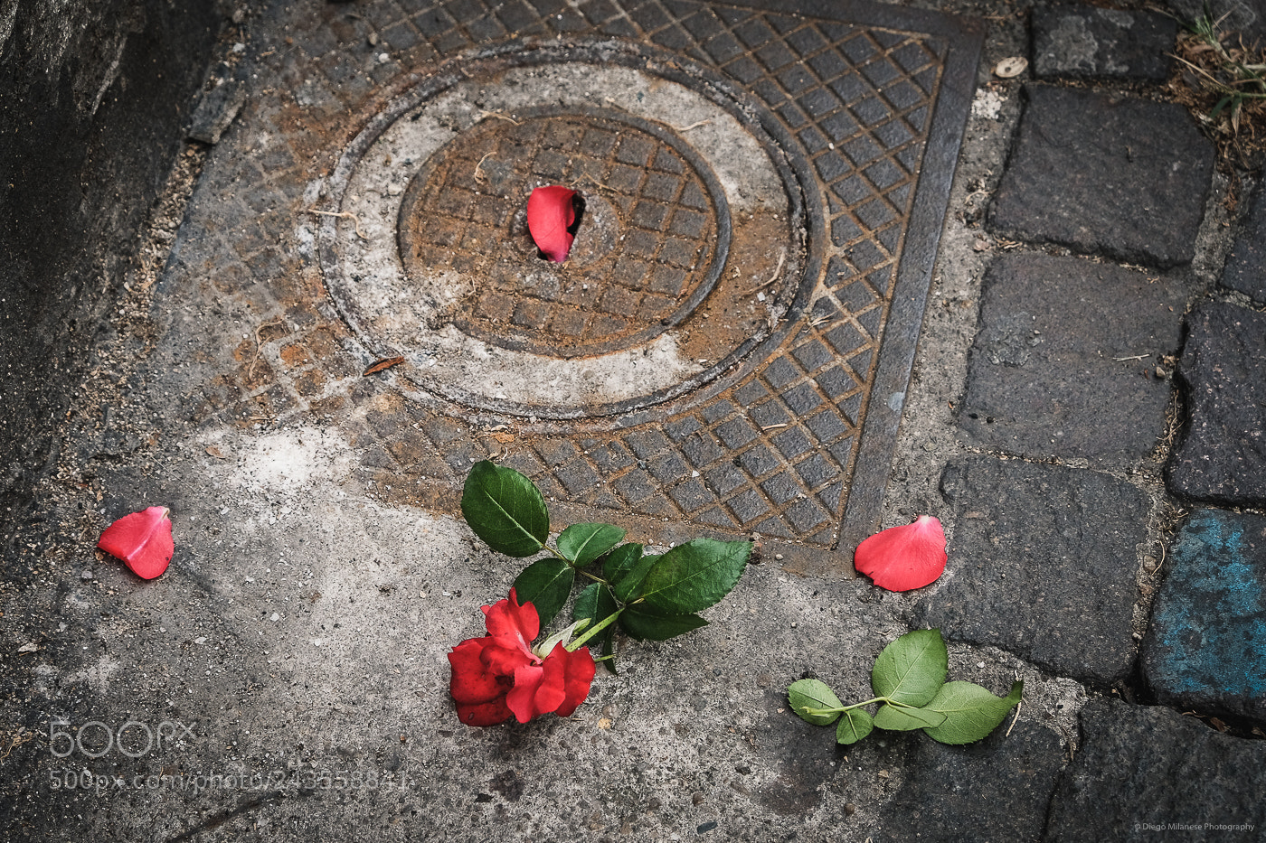 Fujifilm X-T20 sample photo. End of a love photography