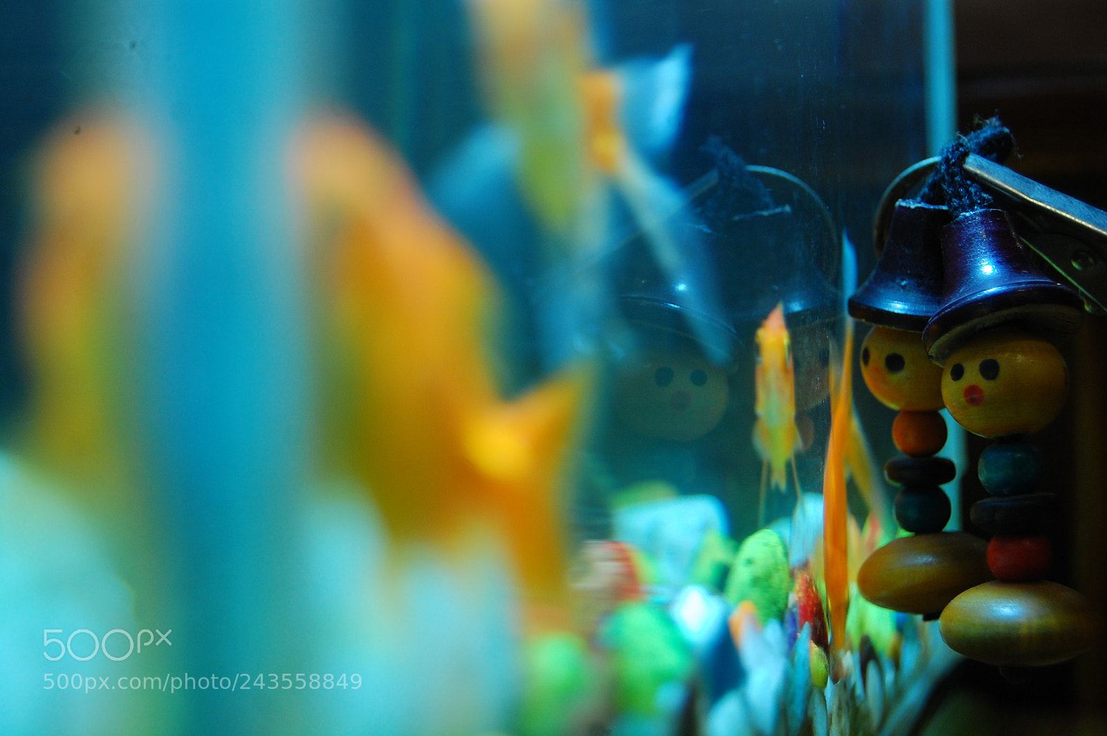 Nikon D40 sample photo. Being together photography