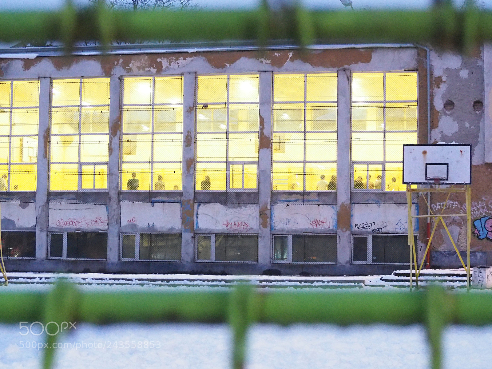 Olympus OM-D E-M10 II sample photo. Back to school photography