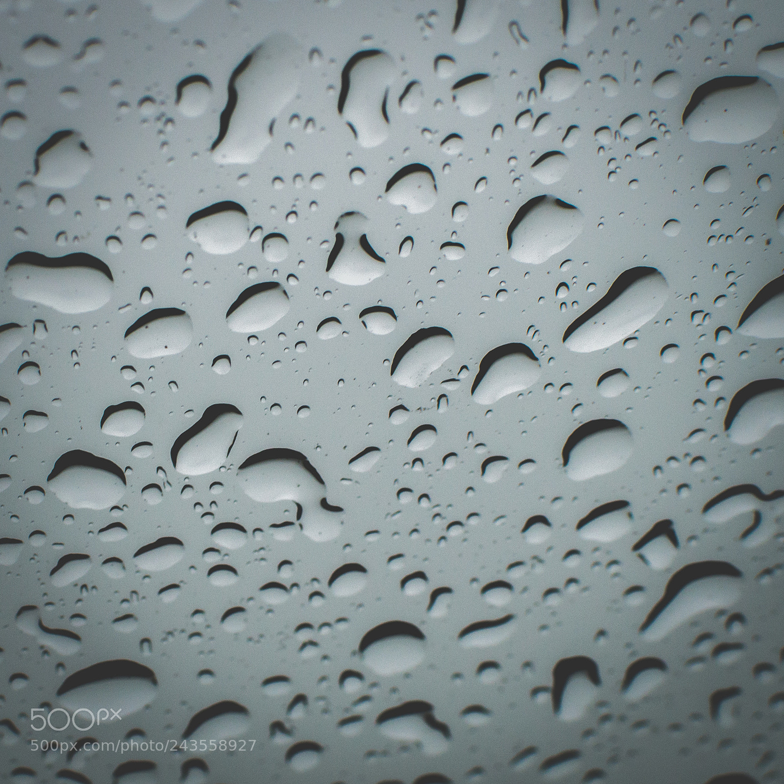 Nikon D3200 sample photo. Rain photography