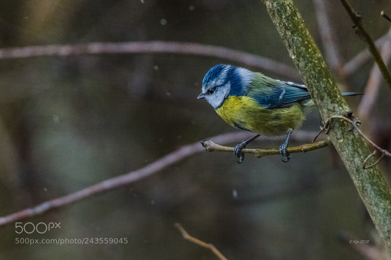 Nikon D850 sample photo. 8b0_5821-2.jpg photography