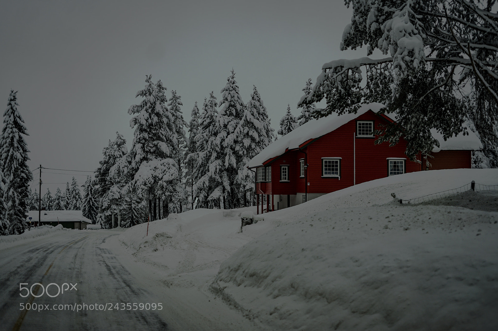 Sony a7 II sample photo. N...road 51(03) photography