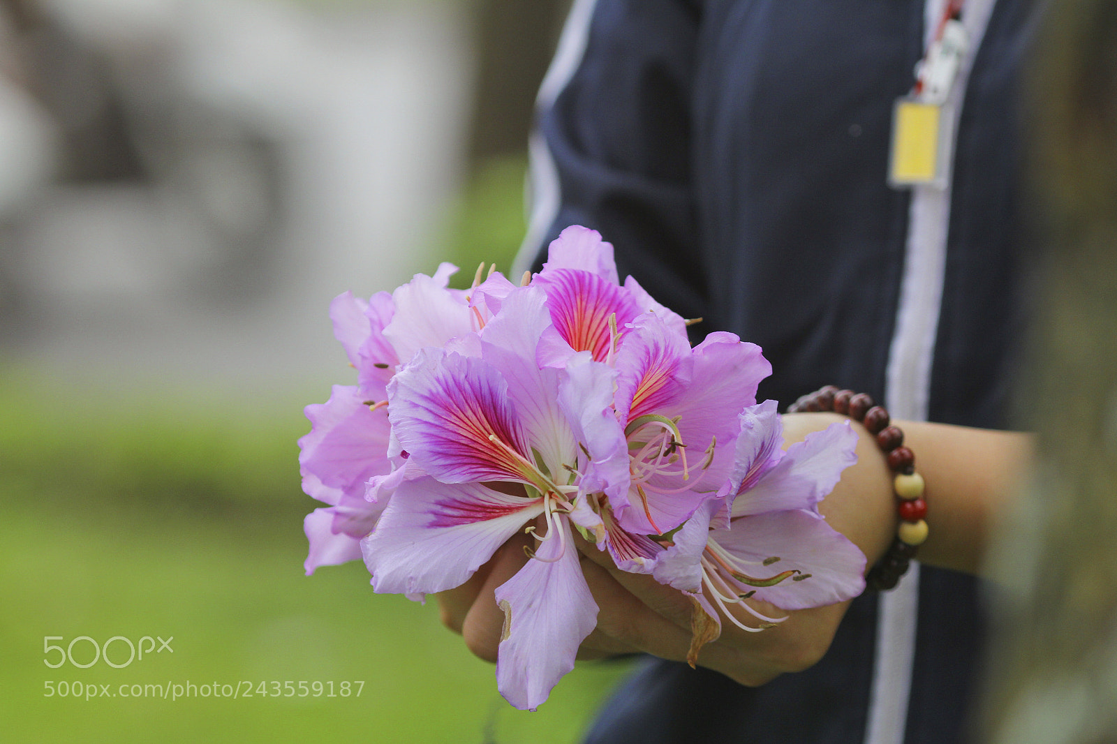 Canon EOS 60D sample photo. Purple spring photography