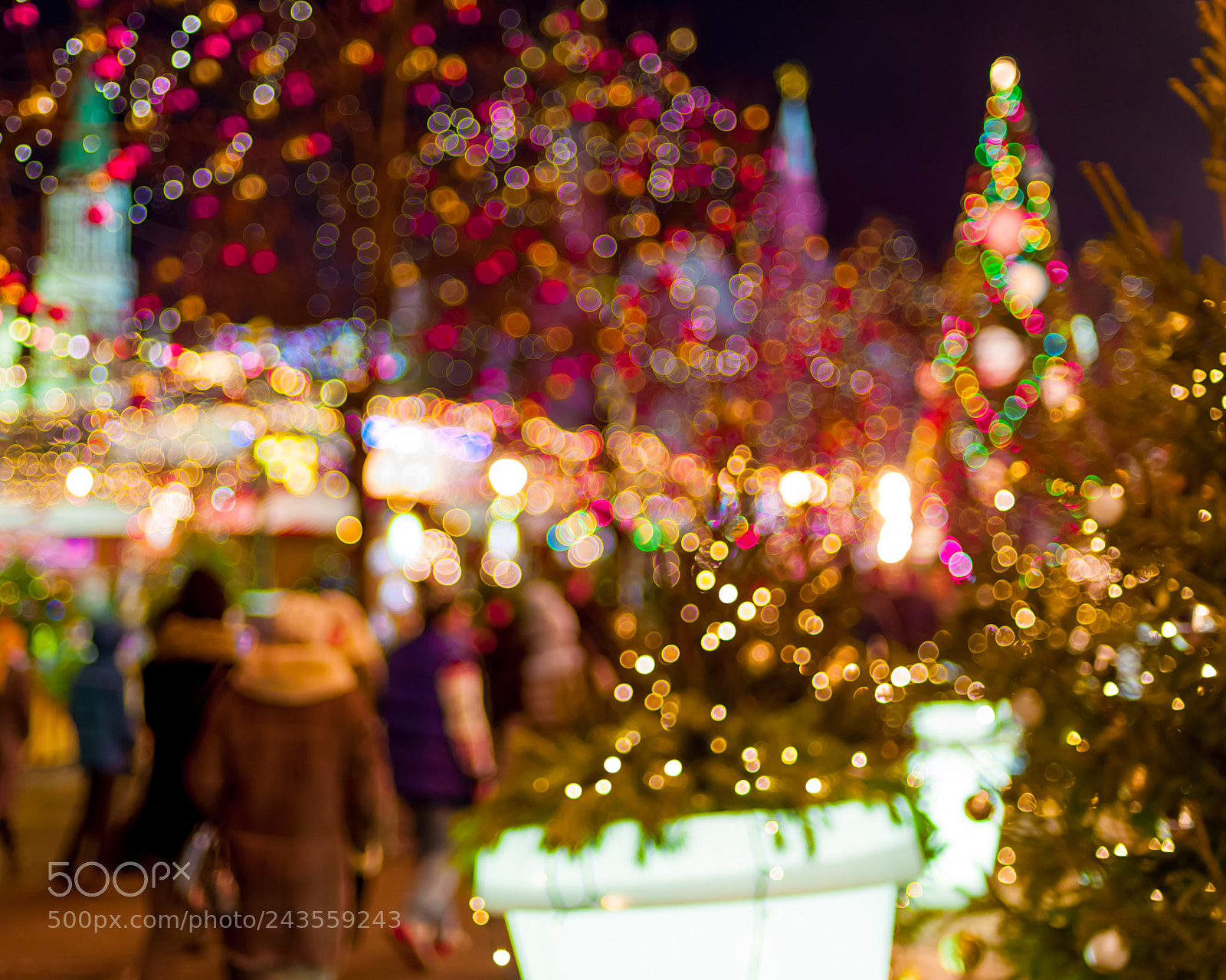 Nikon D700 sample photo. *** photography
