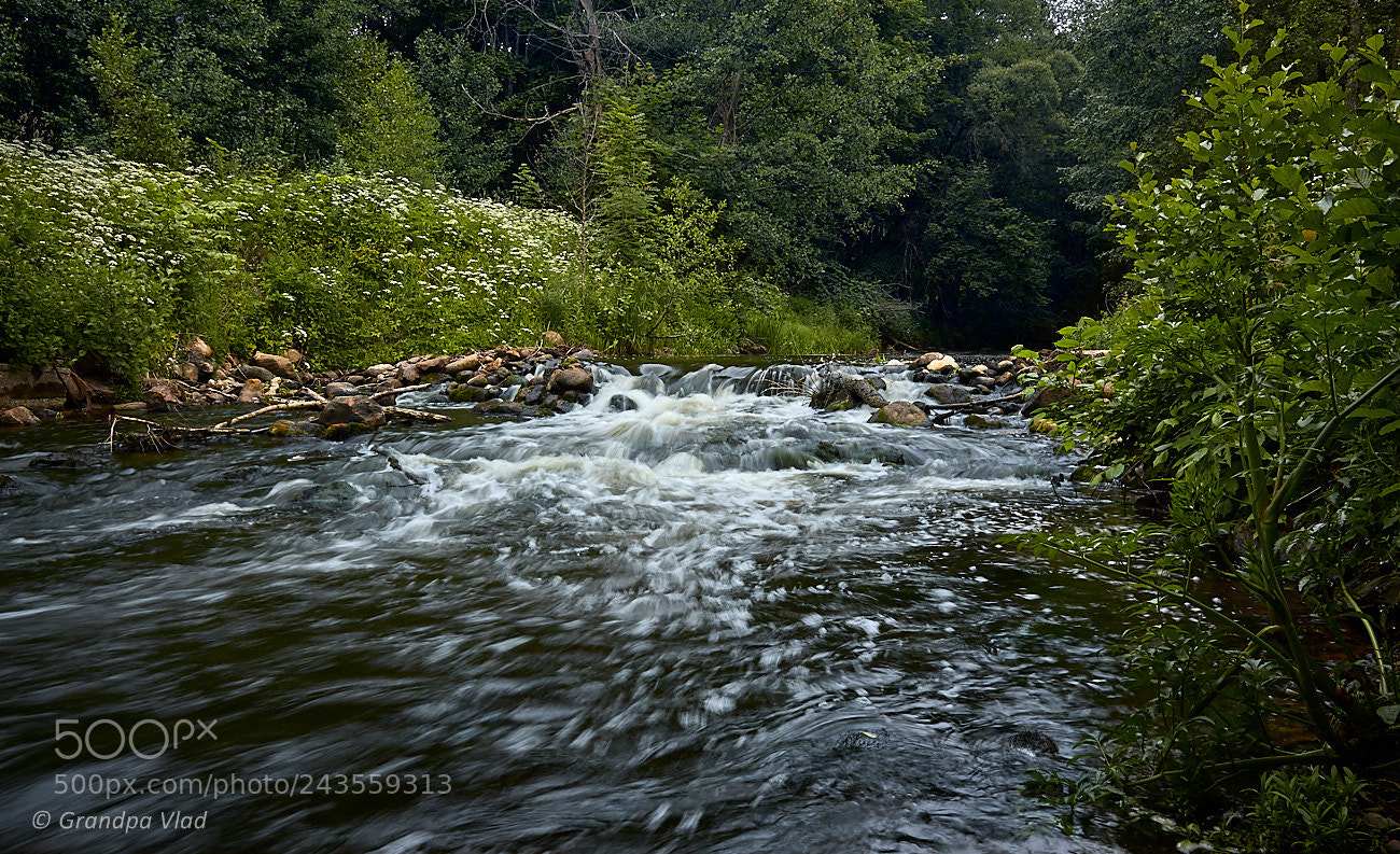 Canon EOS 1100D (EOS Rebel T3 / EOS Kiss X50) sample photo. From the dark forest... photography
