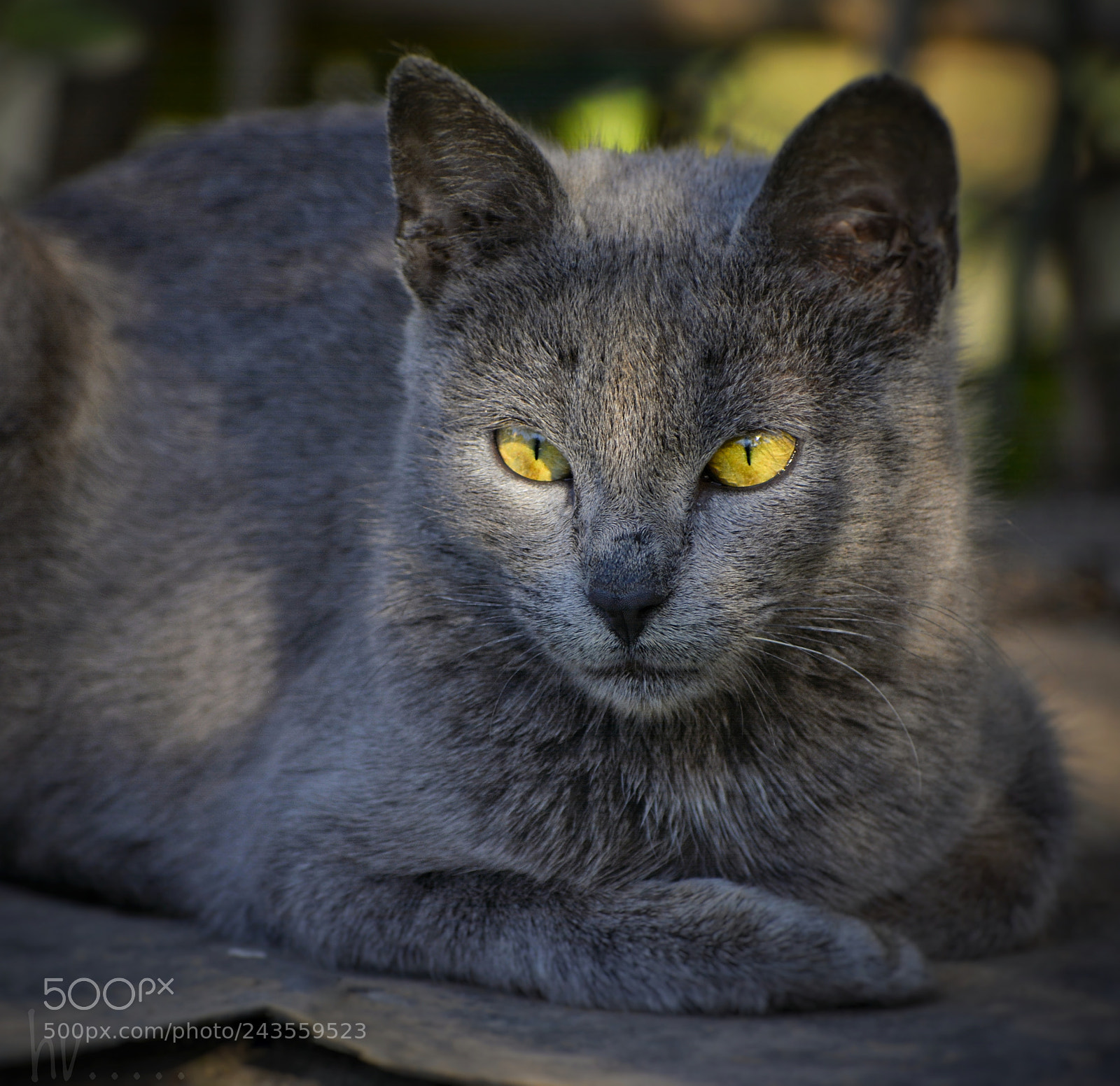 Nikon D7100 sample photo. Catching the last sun photography