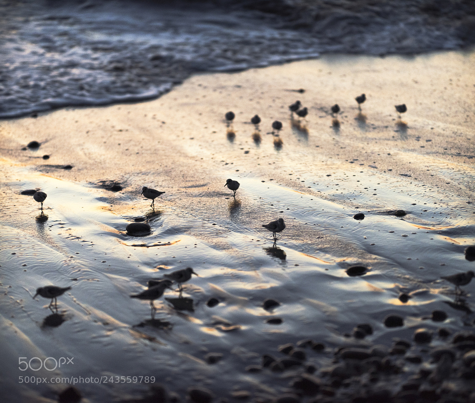 Nikon D810 sample photo. Sharp vs fluid photography