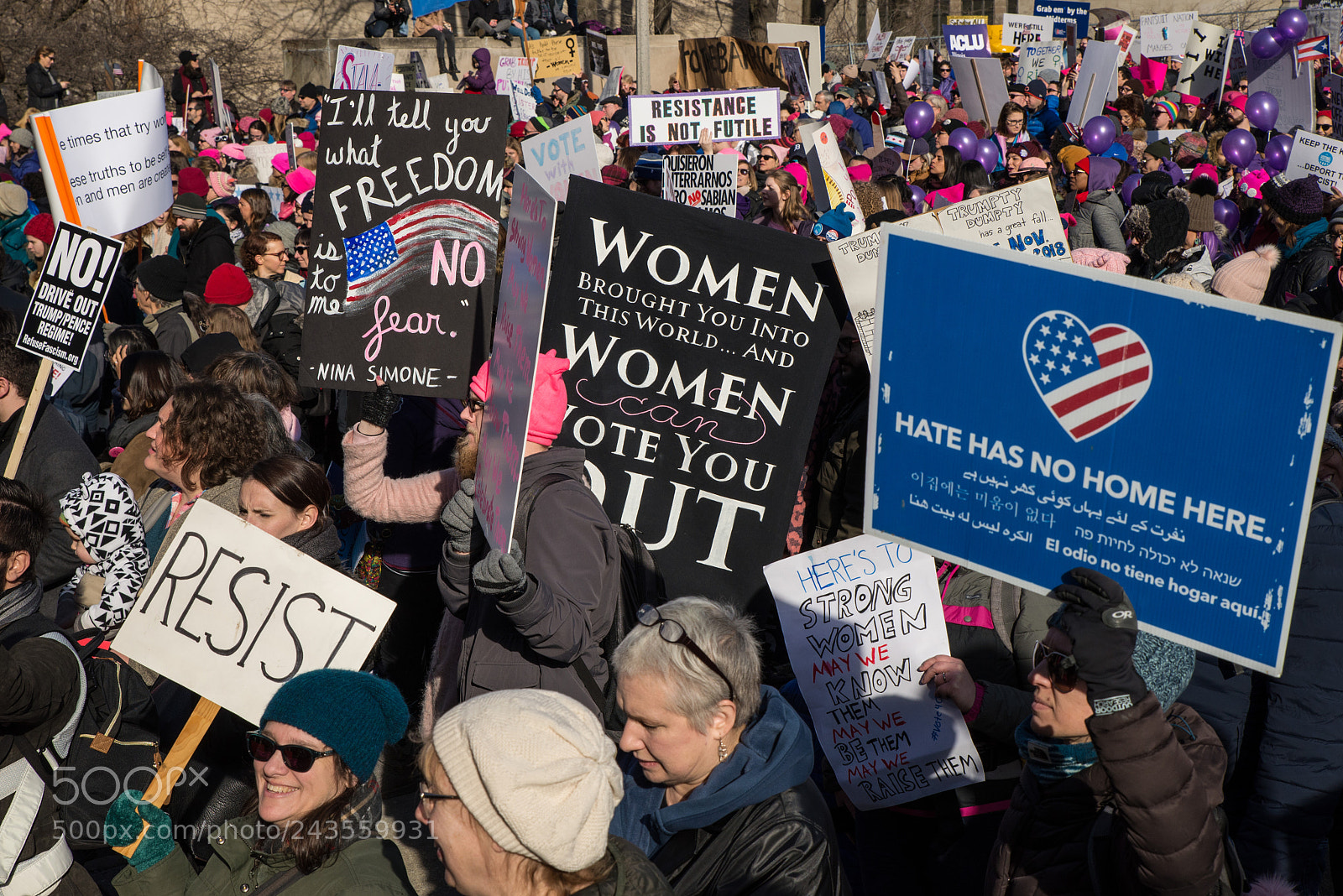 Nikon D610 sample photo. The women's march, 2018 (ii) photography