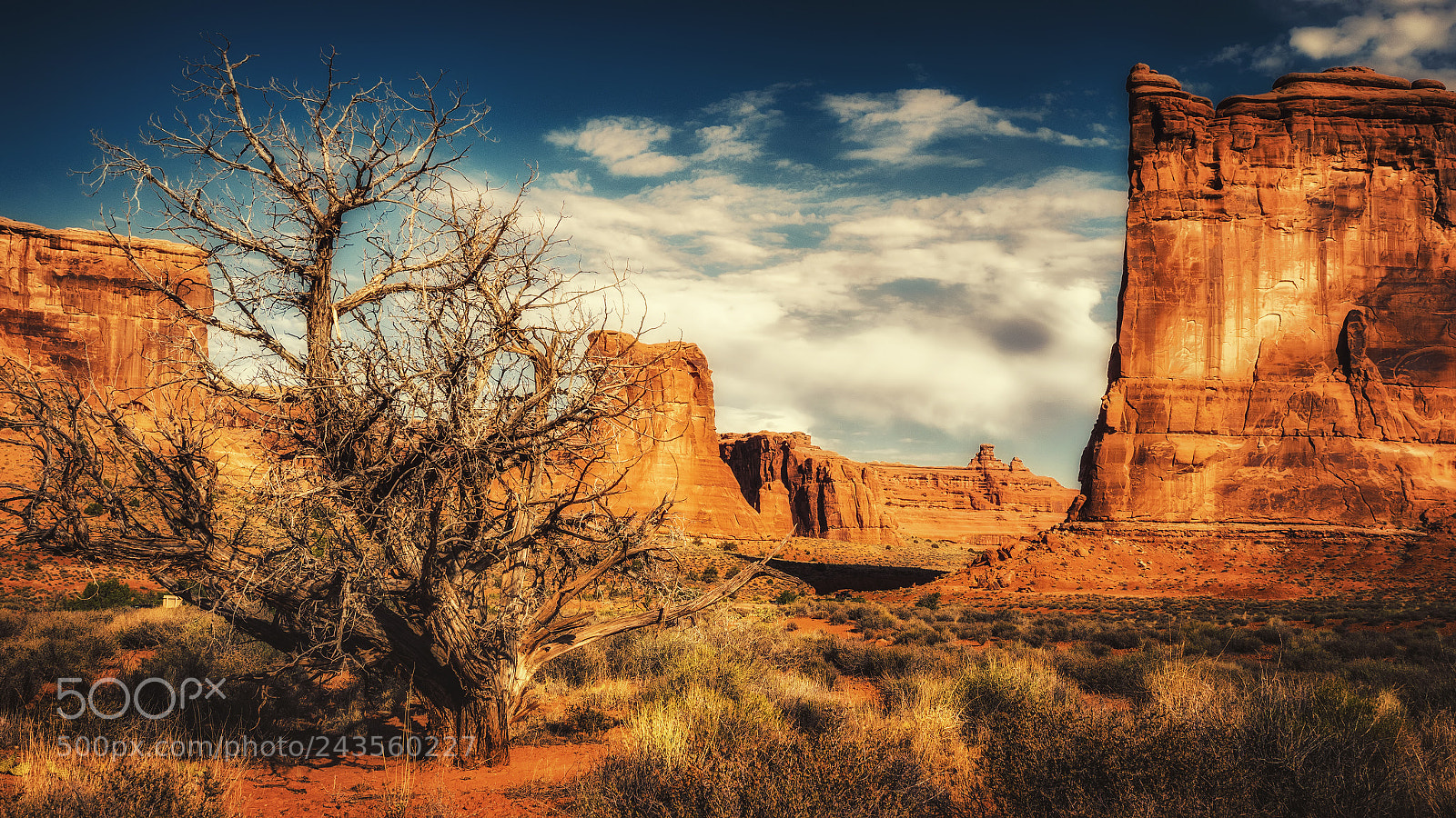 Olympus OM-D E-M1 Mark II sample photo. Arches national park photography