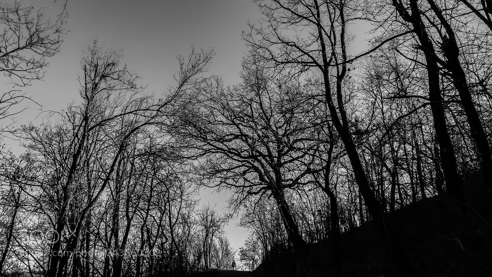 Sony DSC-HX60 sample photo. On my own photography
