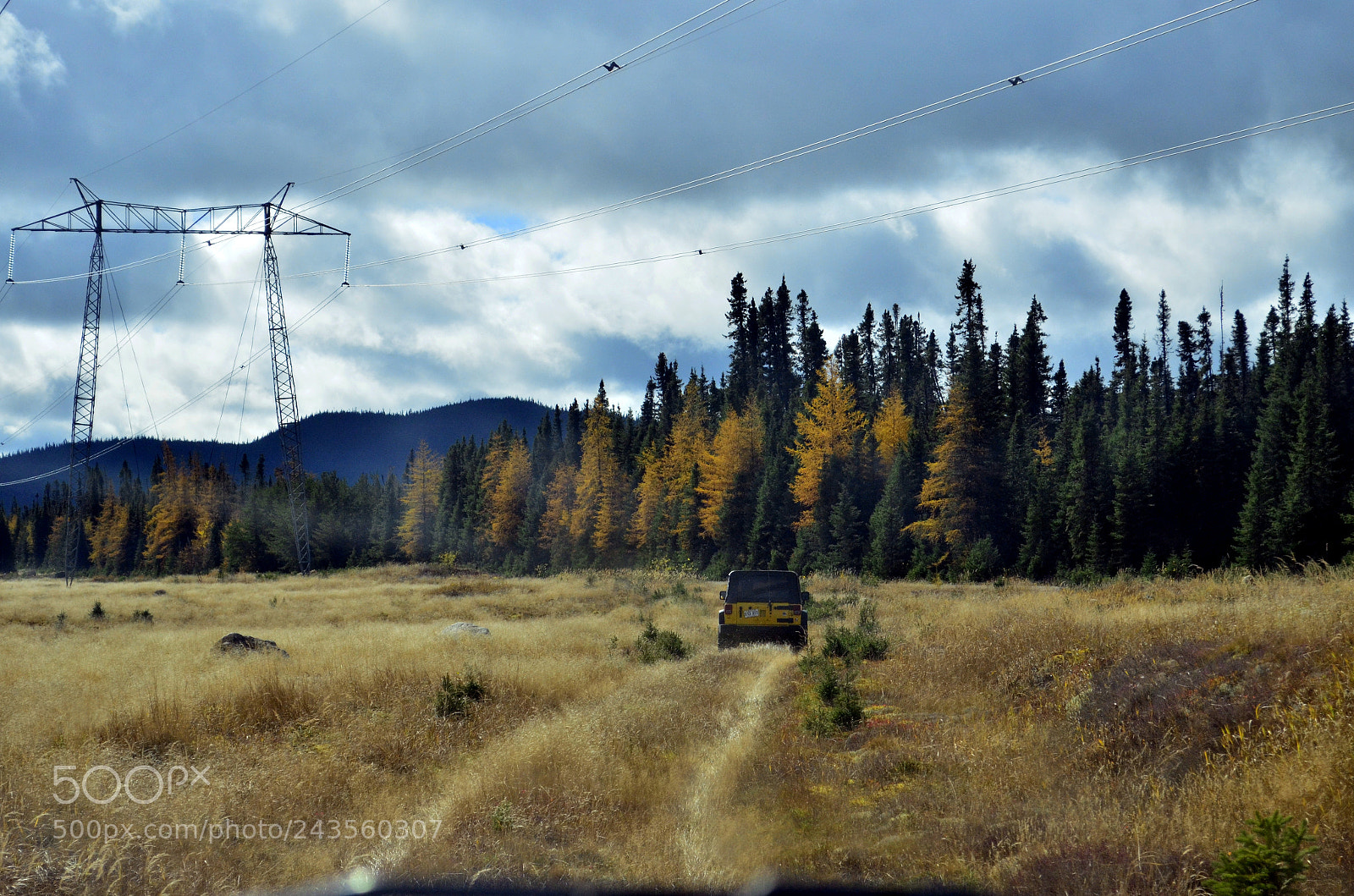 Nikon D5100 sample photo. Make your own road photography