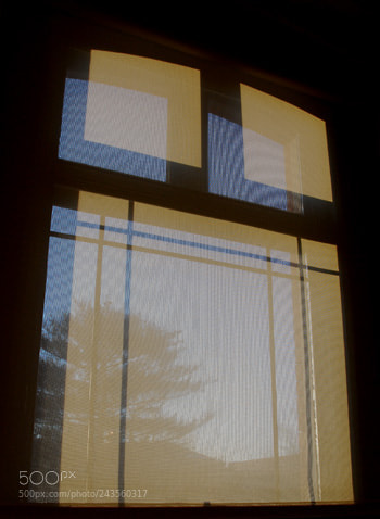 Nikon D60 sample photo. Td photography