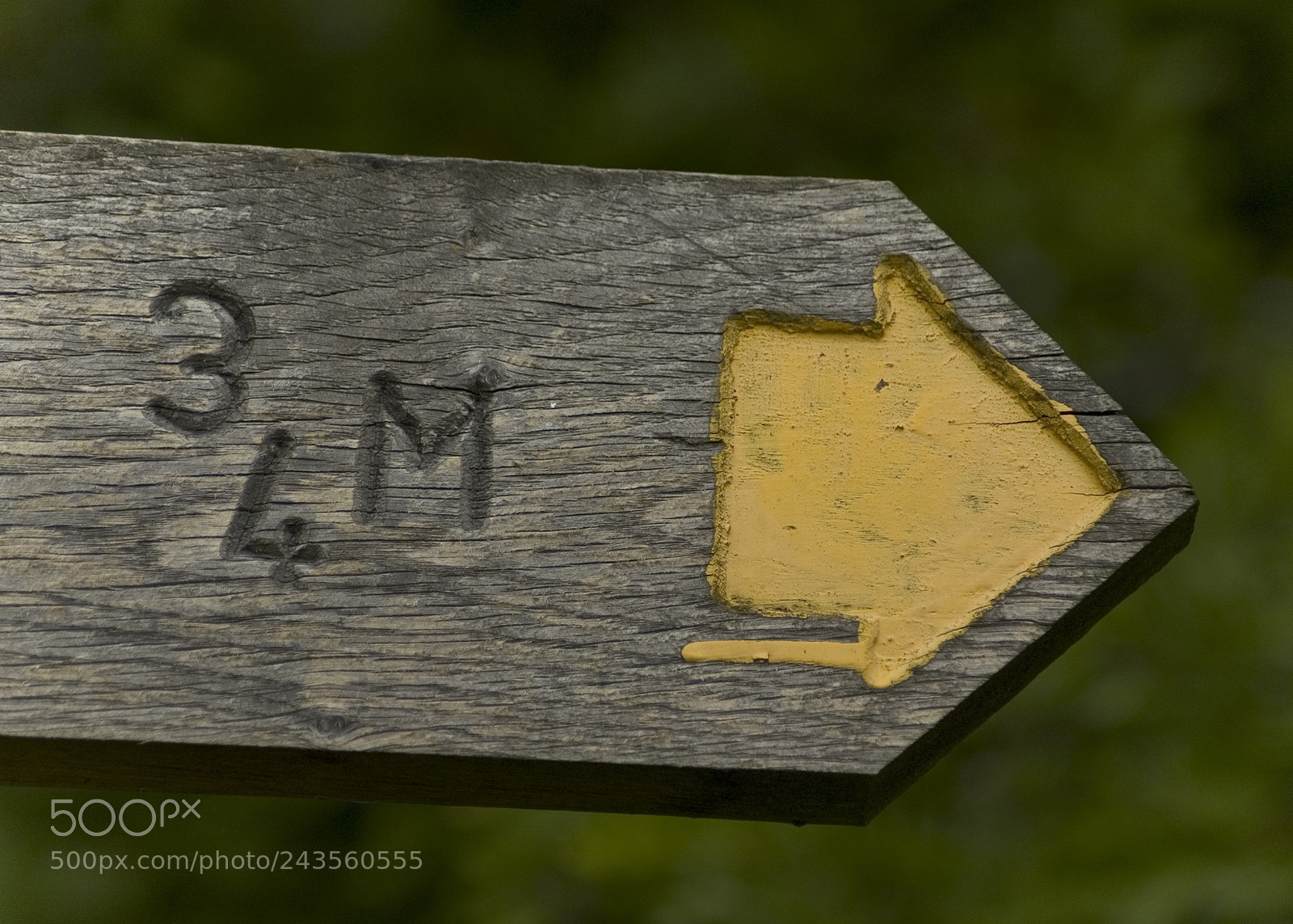 Nikon D70 sample photo. Signpost photography