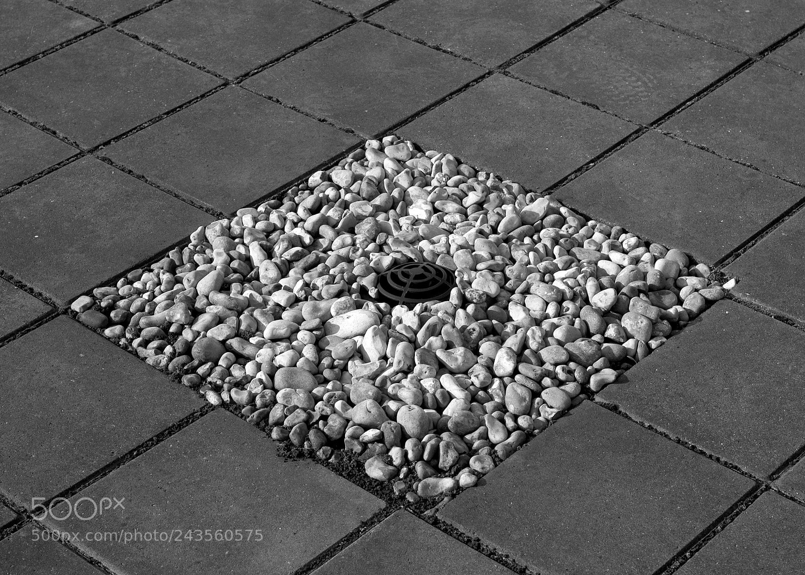 Nikon D70 sample photo. Office geometry photography