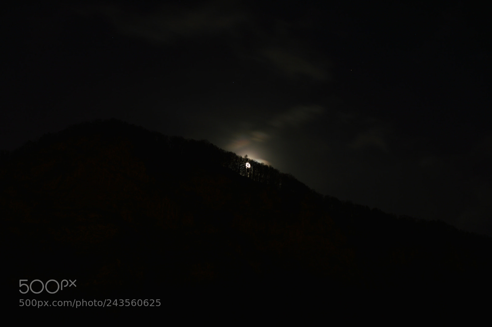 Nikon D3200 sample photo. Moon between trees photography