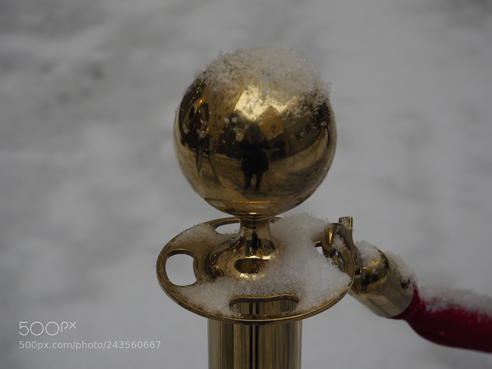 Olympus OM-D E-M10 II sample photo. Golden reflexon photography