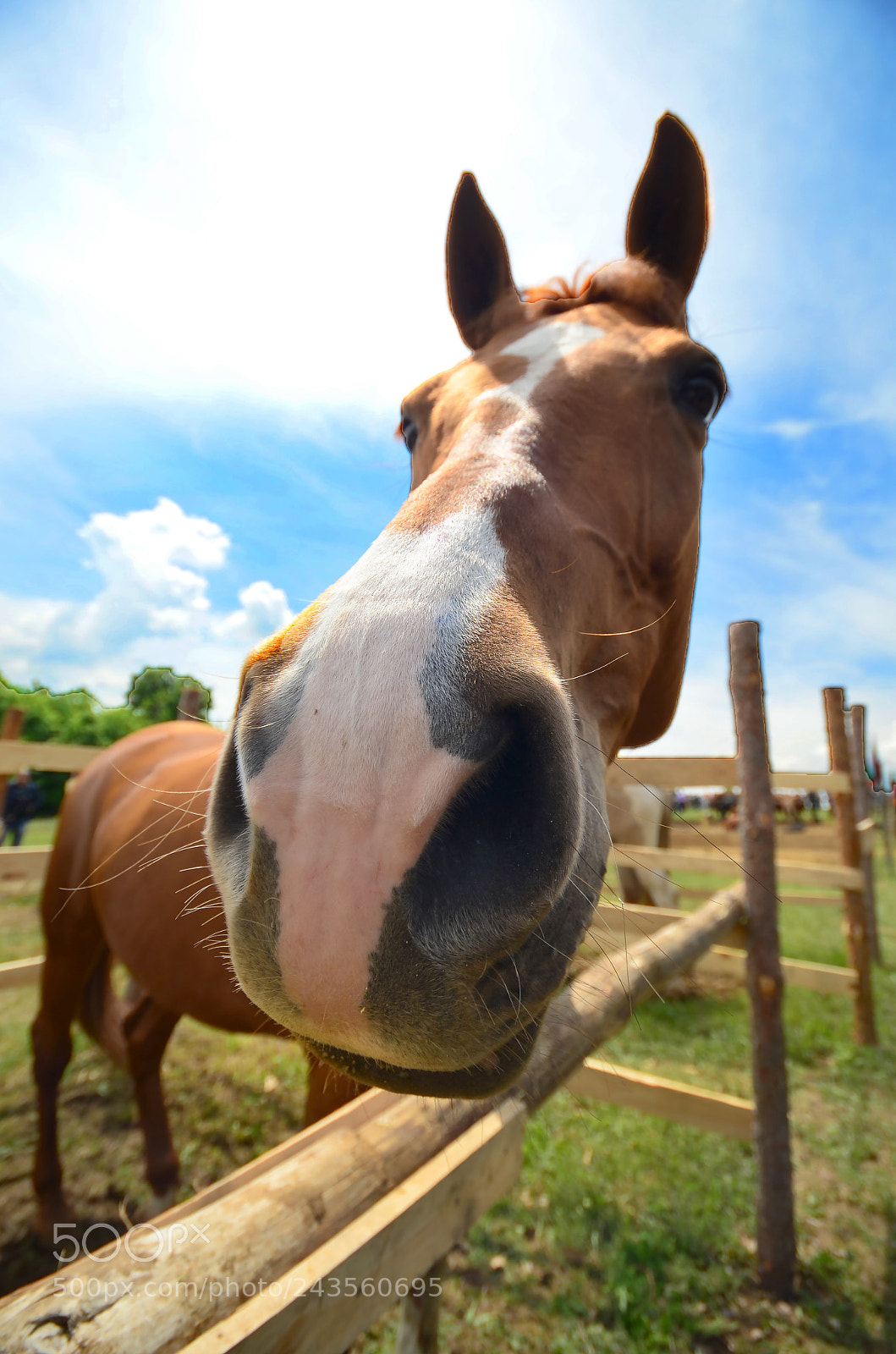 Nikon D5100 sample photo. Hi :) photography