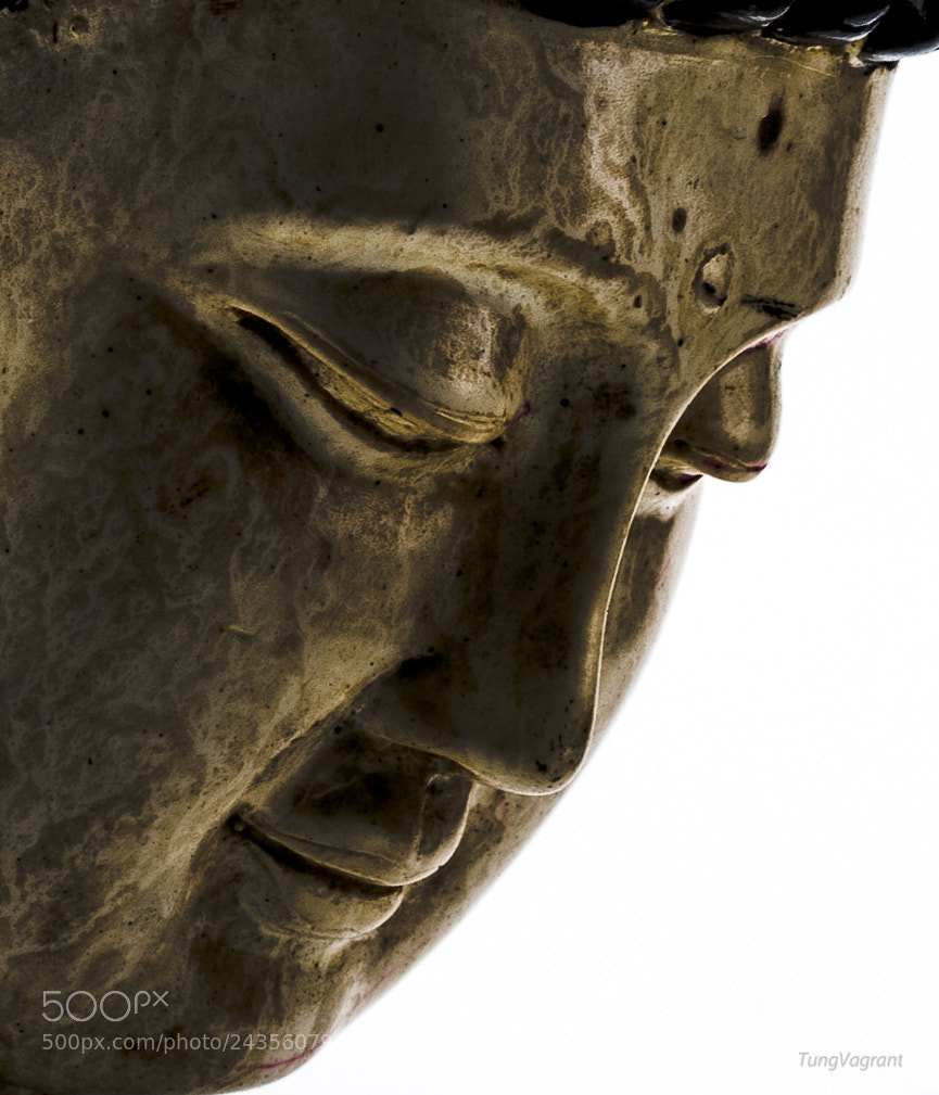 Sony a7 II sample photo. _dsc9204-2.jpg photography