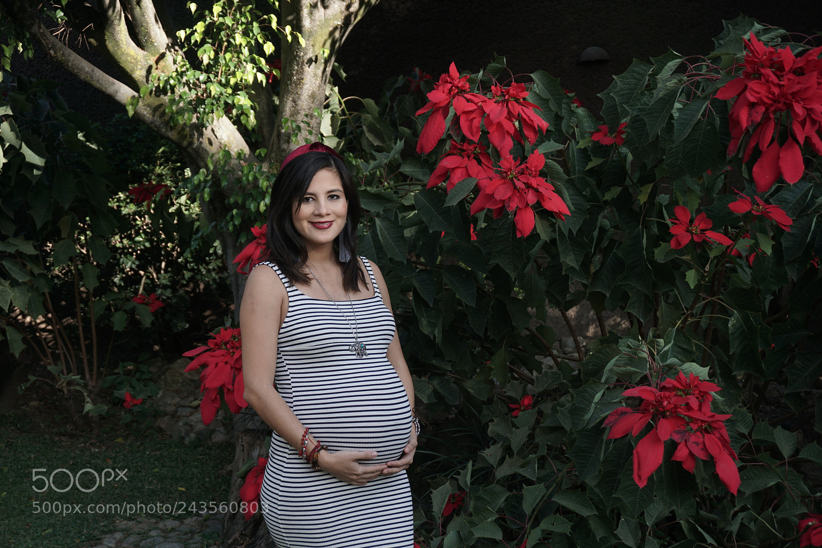 Sony a6000 + Sony E 18-50mm F4-5.6 sample photo. Dsc photography