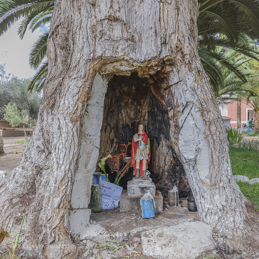 Nikon D700 sample photo. Rural devotion in the photography