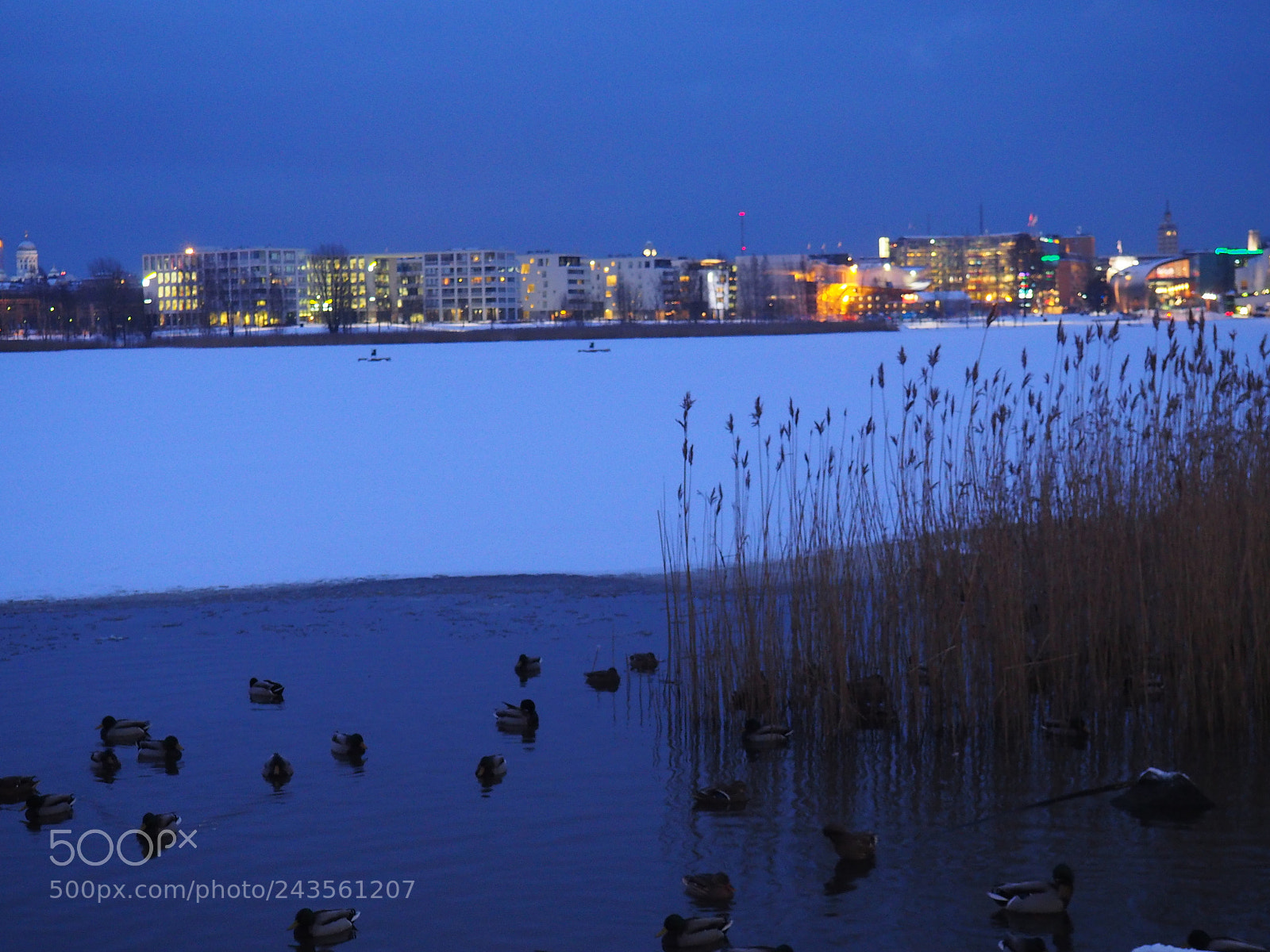 Olympus OM-D E-M10 II sample photo. Blue morning photography