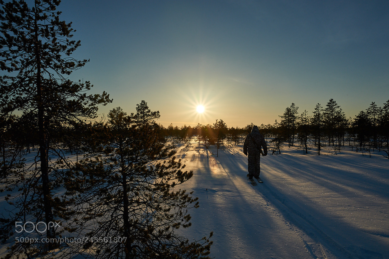Nikon D700 sample photo. Winter sunrise. a frozen photography